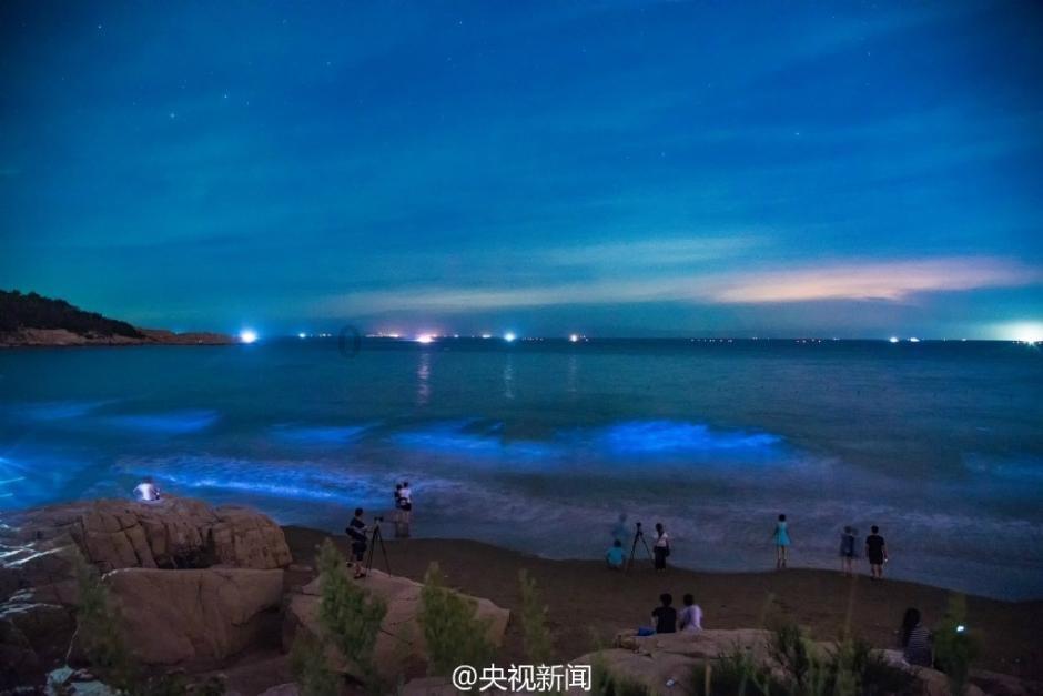 迷雾求生
