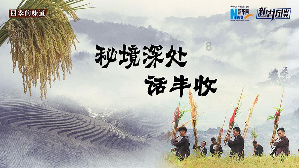 寻找奈良树花